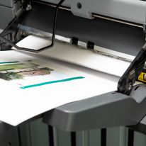 Papierausgabe am Drucker