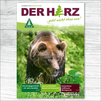 Bär im Wald